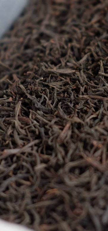 Theepluksters in de mistige hooglanden van Sri Lanka