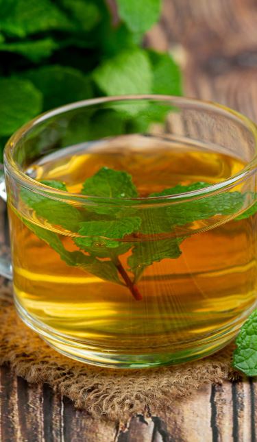 Verse citroenmelisse bladeren in een zonnige kruidentuin