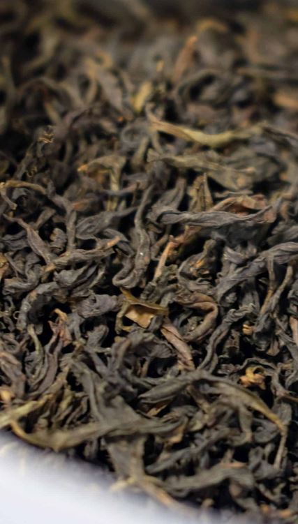 De legendarische Da Hong Pao moederstruiken op de kliffen van Wuyi