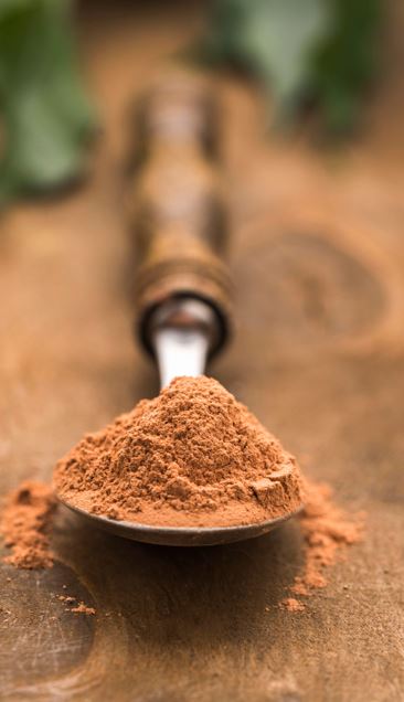 Donkerbruin geroosterde Hojicha theebladeren in een traditionele Japanse theeschep