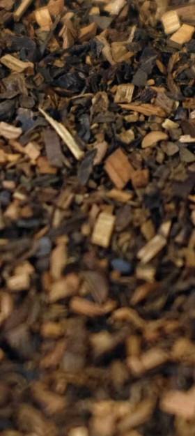 Bloeiende gele Honeybush struiken in de bergen van de Oostkaap