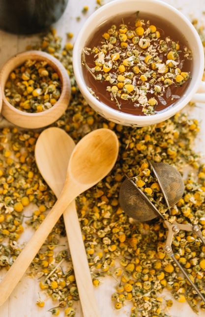 Verse en gedroogde kamillebloemen in de zon